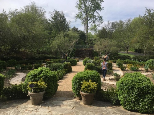 OM Sanctuary Holistic Retreat image 35